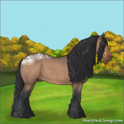 Horse Color:Brown Ice Dun 