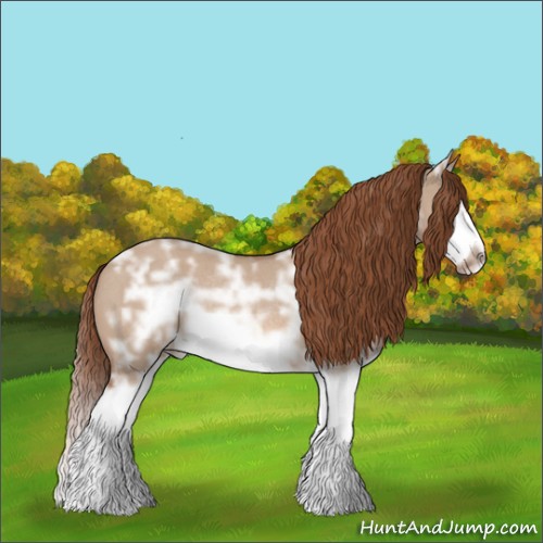 Horse Color:Red Dun Ice Roan Splash Frame Rabicano 