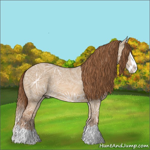 Horse Color:Red Dun Ice Splash Rabicano 