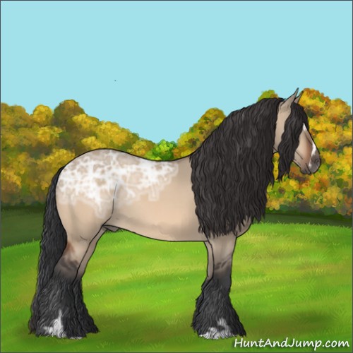 Horse Color:Bay Ice Dun Sabino Rabicano 