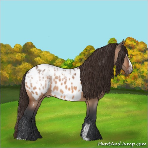 Horse Color:Bay Ice Dun Sabino Appaloosa Rabicano 