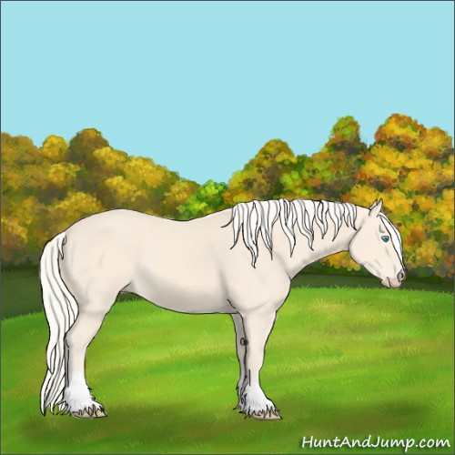 Horse Color:Cremello Tobiano