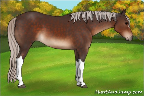 Horse Color:Silver Brown 
