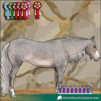 Horse Color:Silver Brown Appaloosa