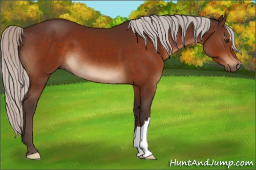 Horse Color:Silver Brown 