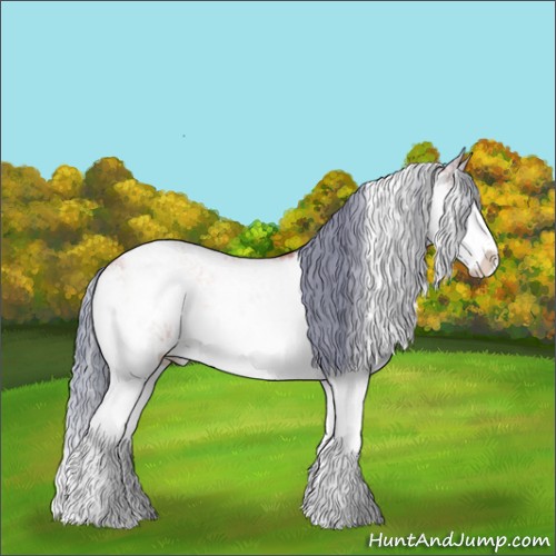 Horse Color:Watercolor Bay Onyx Sabino 