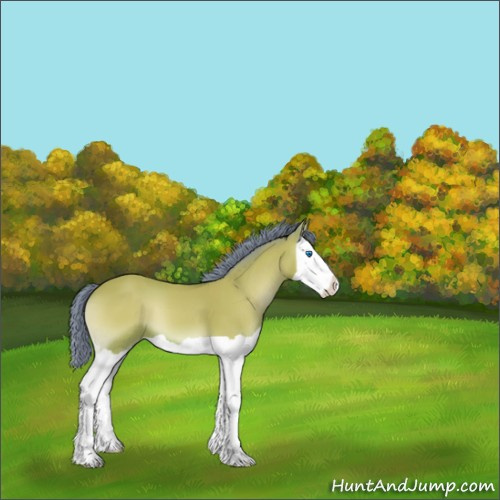 Horse Color:Watercolor Bay Onyx Splash 