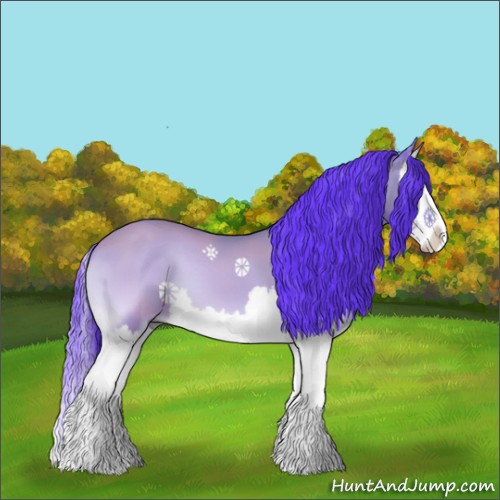 Horse Color:Watercolor Bay Onyx Sabino Splash 