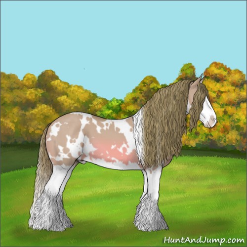 Horse Color:Watercolor White Spotted Red Dun Splash 