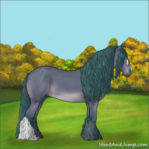 Horse Color:Watercolor Bay 