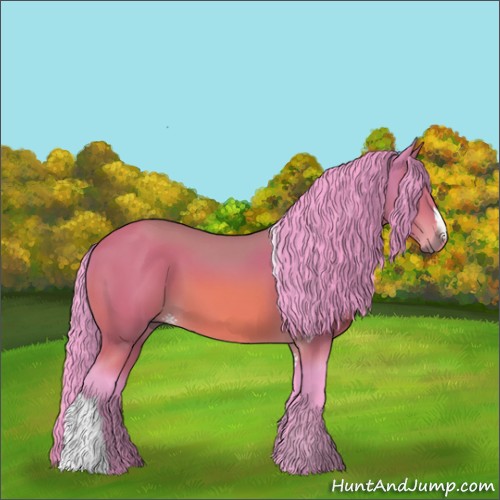 Horse Color:Watercolor Bay 