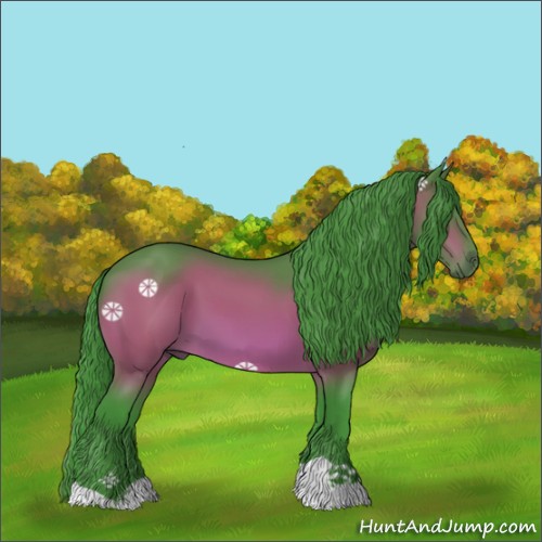 Horse Color:Watercolor Bay 