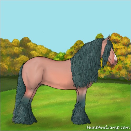 Horse Color:Watercolor Bay Dun 