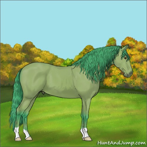 Horse Color:Watercolor Bay 