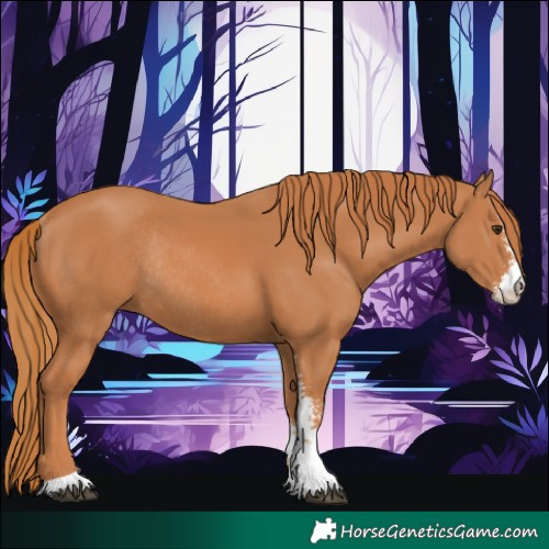 Horse Color:Chestnut Sabino Rabicano 