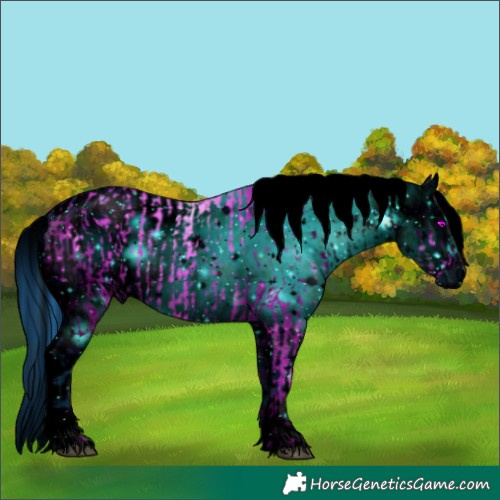 Horse Color:ERROR: UNKNOWN ANOMALY and ERROR: UNKNOWN ANOMALY
