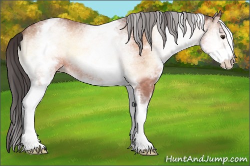 Horse Color:White Spotted Sable Champagne Onyx 