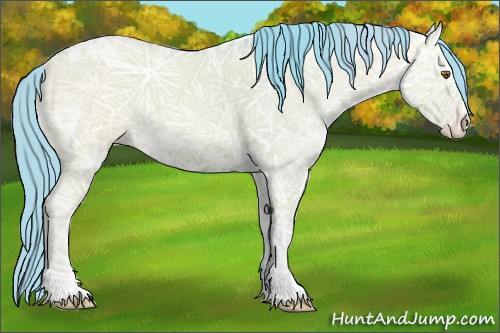 Horse Color:Watercolor Classic Cream Champagne Ice Dun Sabino Rabicano