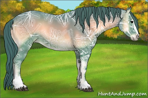 Horse Color:Watercolor Blue Onyx Ice Sabino Rabicano 