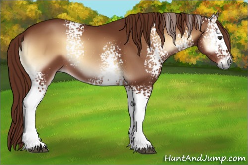 Horse Color:White Spotted Red Onyx 