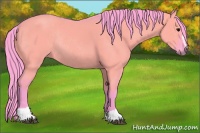 Horse Color:Watercolor Grullo Sabino Rabicano 