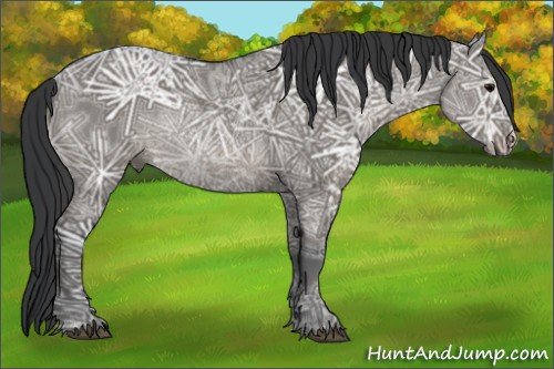 Horse Color:Grullo Ice Rabicano 