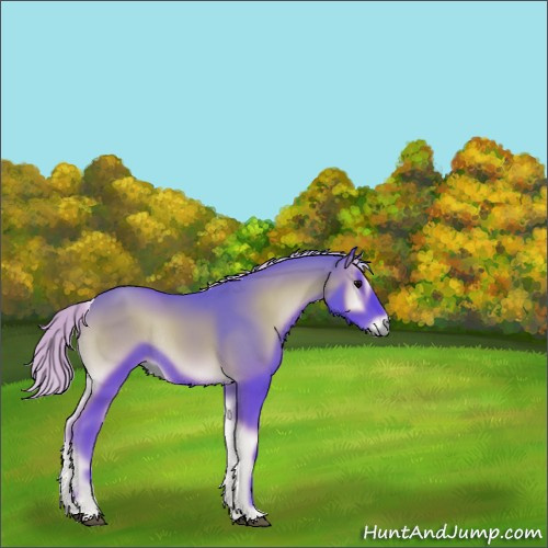 Horse Color:Watercolor Silver Blue Onyx Rabicano 