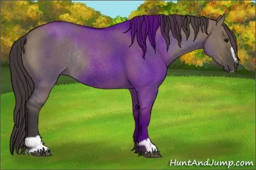 Horse Color:Smoky Grullo Roan Sabino Rabicano 