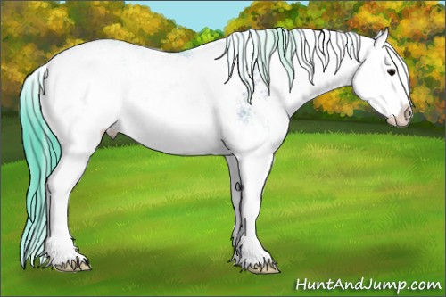 Horse Color:Watercolor Grullo Sabino Splash Rabicano 