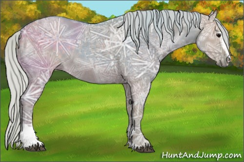 Horse Color:Watercolor Silver Grullo Ice Sabino Rabicano 