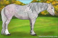 Horse Color:Watercolor Silver Grullo Ice Sabino Rabicano 