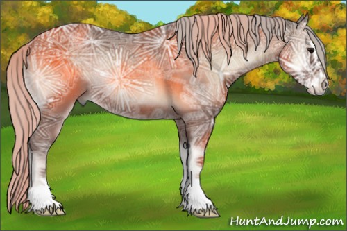 Horse Color:Silver Blue Onyx Ice Sabino Rabicano 