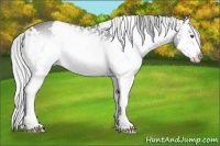 Horse Color:Platinum White Spotted Silver Brown Chinchilla Onyx Splash 
