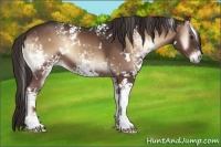 Horse Color:White Spotted Liver Red Onyx