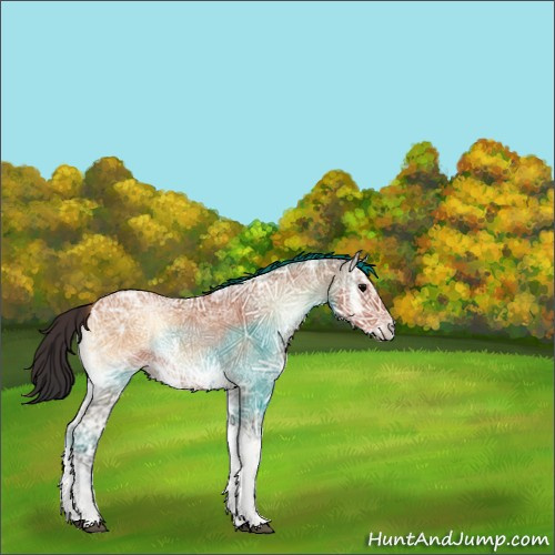 Horse Color:Bay Ice Onyx Rabicano 