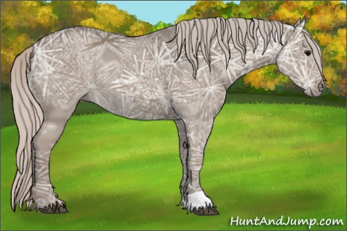 Horse Color:Silver Grullo Ice Rabicano 
