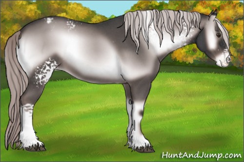 Horse Color:Platinum White Spotted Liver Red Onyx Roan Varnish 