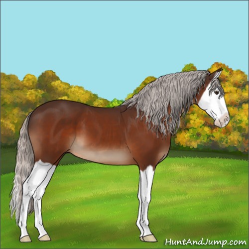 Horse Color:Silver Brown Splash