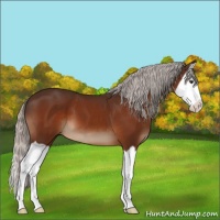 Horse Color:Silver Brown Splash 