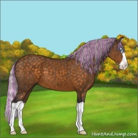 Horse Color:Painted Silver Buckskin Splash 