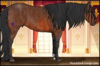 Horse Color:Bay  Brindle