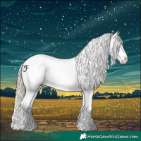Horse Color:White Spotted Chocolate Palomino Dun Mushroom Sabino Splash Appaloosa 