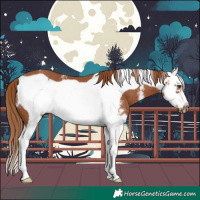 Horse Color:Chestnut Sabino Splash Frame Rabicano