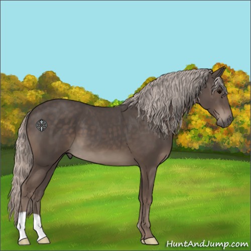 Horse Color:Silver Black 