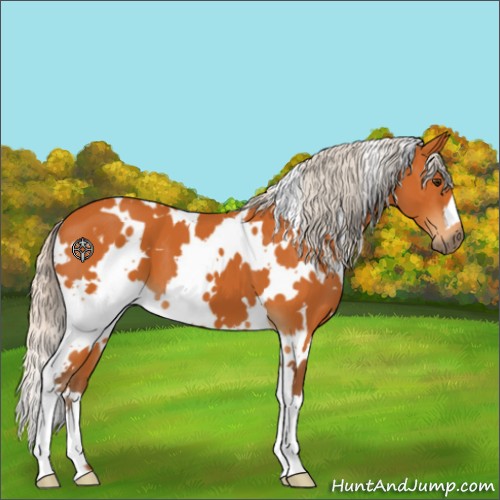 Horse Color:White Spotted Silver Buckskin 