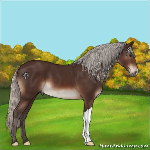 Horse Color:Silver Brown 