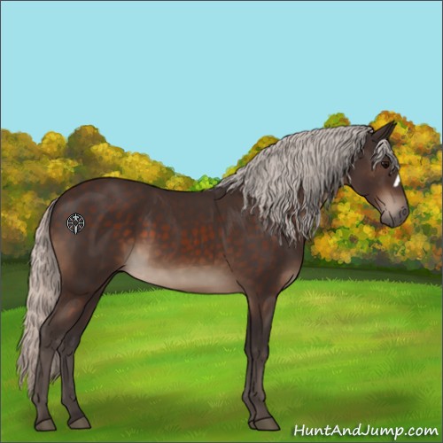 Horse Color:Silver Brown 