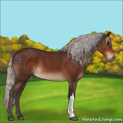 Horse Color:Silver Brown 