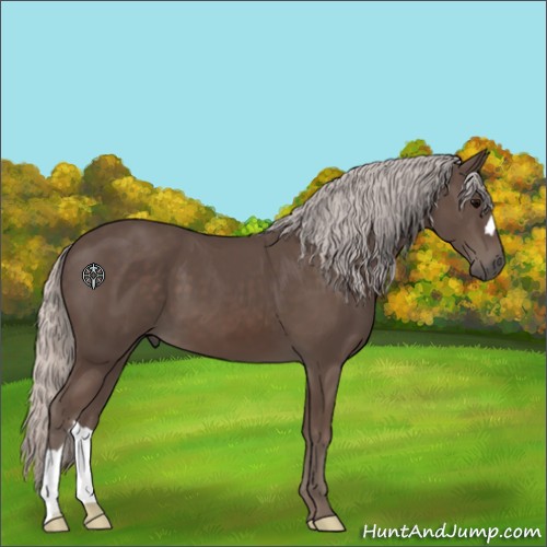 Horse Color:Silver Black 