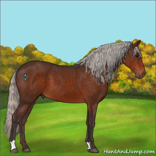 Horse Color:Silver Brown 